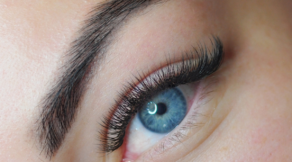 Close-up of classic eyelash extensions, showcasing timeless beauty and elegance